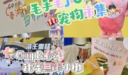 中山宠物用品厂
