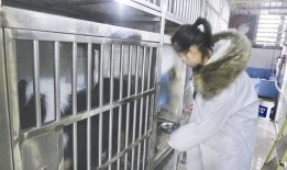 凯里宠物寄养中心电话