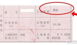 房产使用权类型划拨可以贷款吗