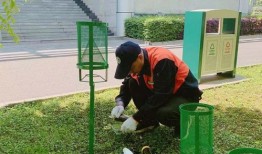 沧州卖宠物的地方