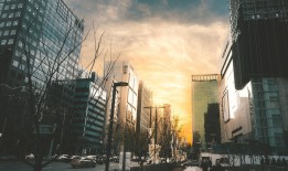 镜头下的城市魅影，揭秘青岛摄影培训机构哪家强？——排名与选择的艺术