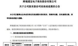 胡锡进股市之旅从亏损到小幅回升的反思与展望
