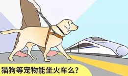 火车能不能托运宠物猫