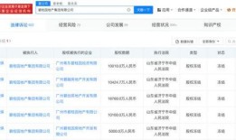 碧桂园回应百亿股权被冻结与合作方预分配利润等存争议准备向法院提异议