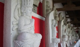 春节，中国传统文化的瑰宝
