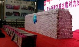 三亚航院回归新海航方威强调绝不是民营后就老板说了算