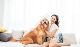 宠物像主人的说法