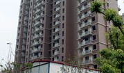 上海高端改善新房迎春天