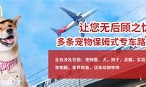 宠物托运时间