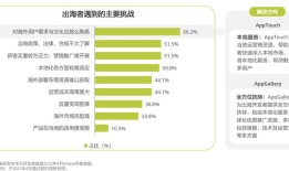 出海航行企业面临的挑战与对策