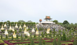 探索花卉世界，1000种花名大全及花语和图案