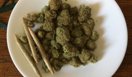 探索自然宝库，植物药材大全名称及图片