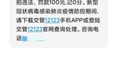 查一下汽车的违章