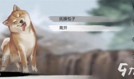 教室里可以养什么宠物
