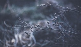 一人之下，胡图大师的隐世智慧与生活哲学