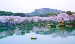 梦见旅游是什么预兆