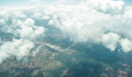 探索动物王国，从深海巨兽到空中精灵