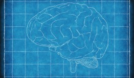 挑战你的逻辑思维，10道智商测试数学题