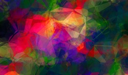 绿叶红镶边，生活中的艺术与美学观察