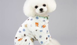 棉花娃娃穿宠物的衣服