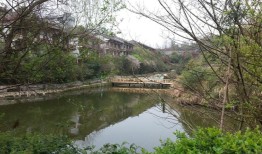 长沙黄兴镇旅游景点