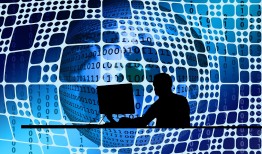 深入解析，学区房与优质教育资源的关联