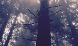 探索黑铁，揭开其神秘面纱
