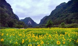 广东怀集天气
