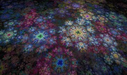 花与图片，自然之美与数字艺术的交融