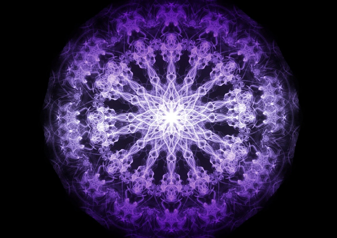 华为手机拍摄花卉艺术照，解锁黑背景的魔法技巧