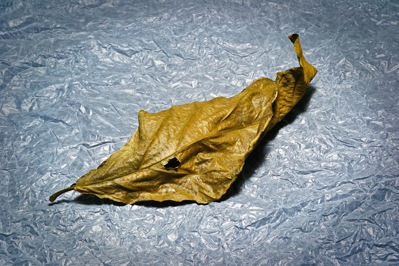 人文艺术，生活中的灵魂之光与隐形引擎