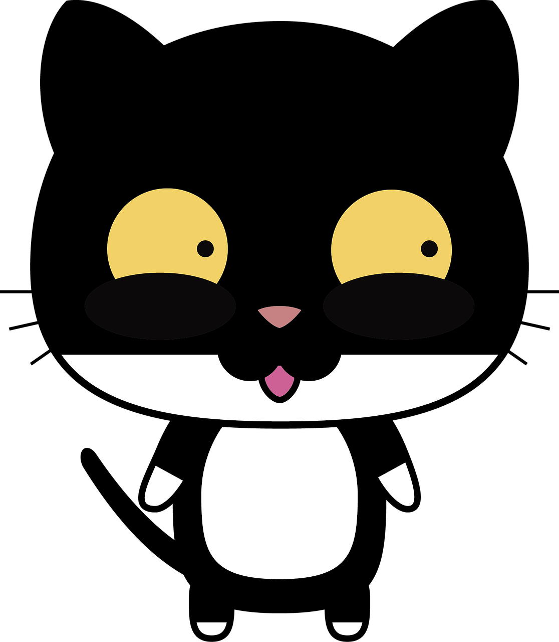 揭秘熊猫，那些你不知道的大熊猫冷知识