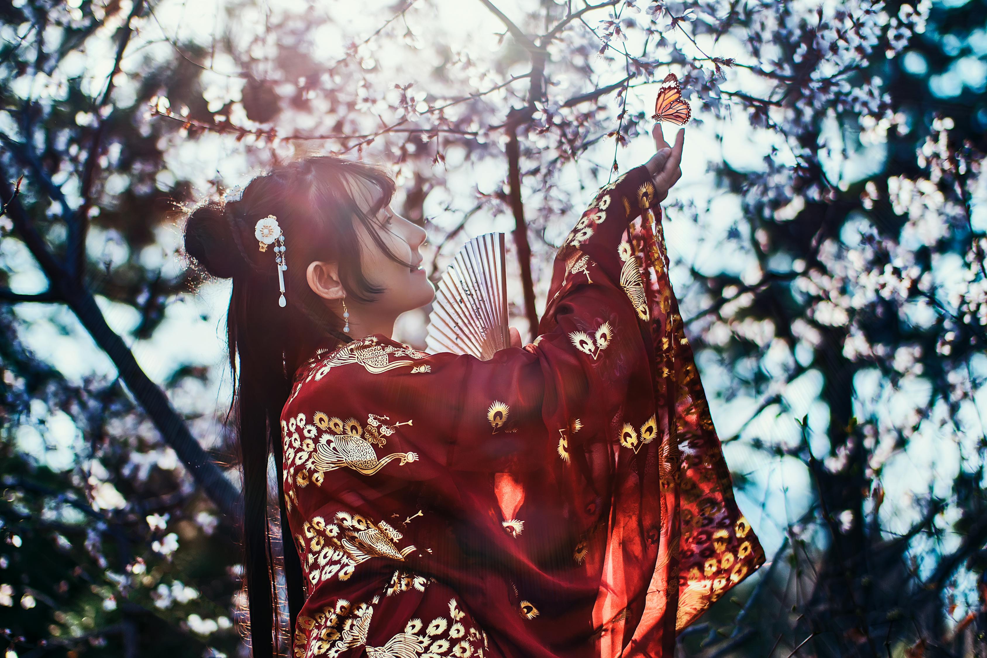 窦婴，百度百科中的传奇人物