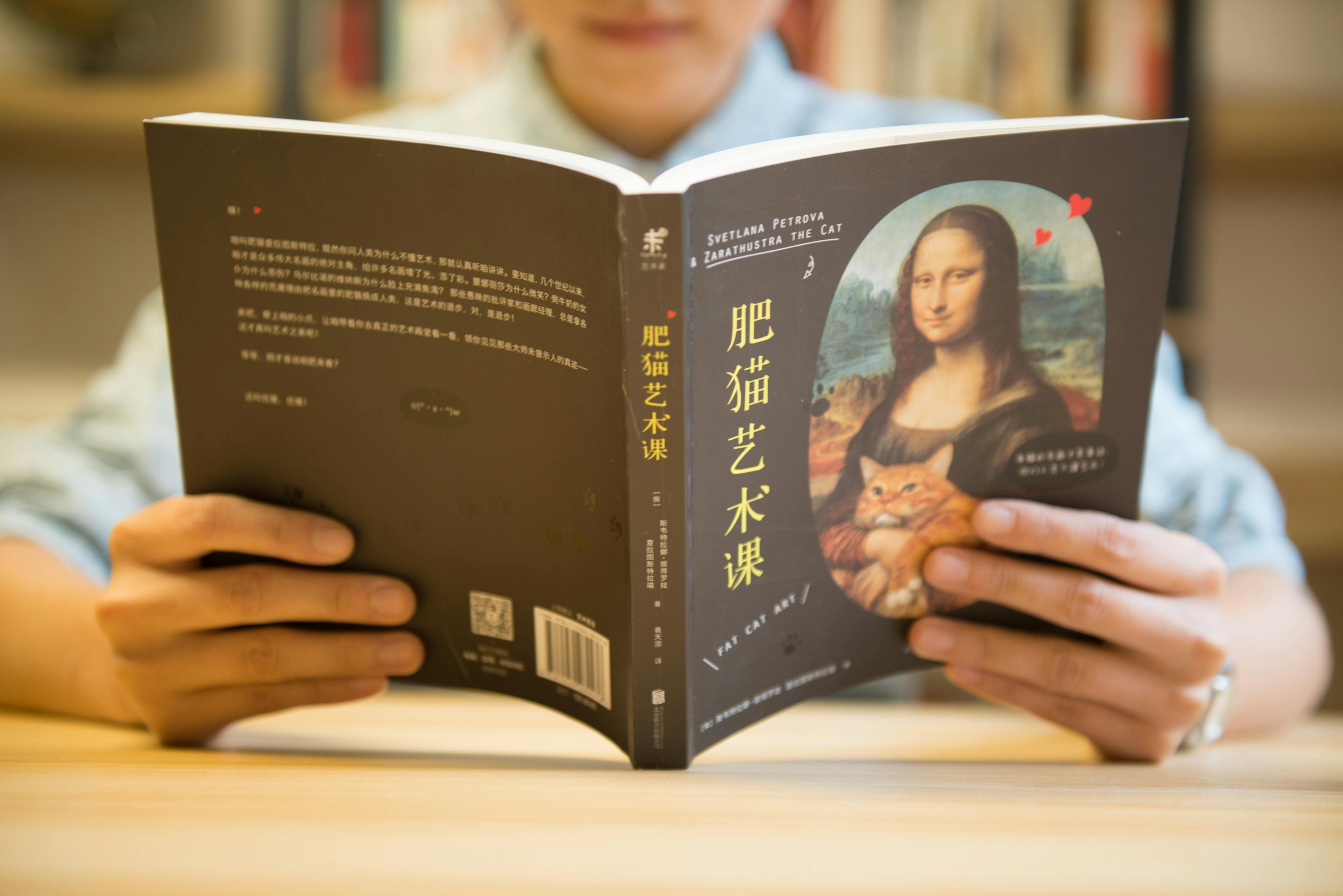 探索文学的宝藏，一份精选的文学常识书单推荐