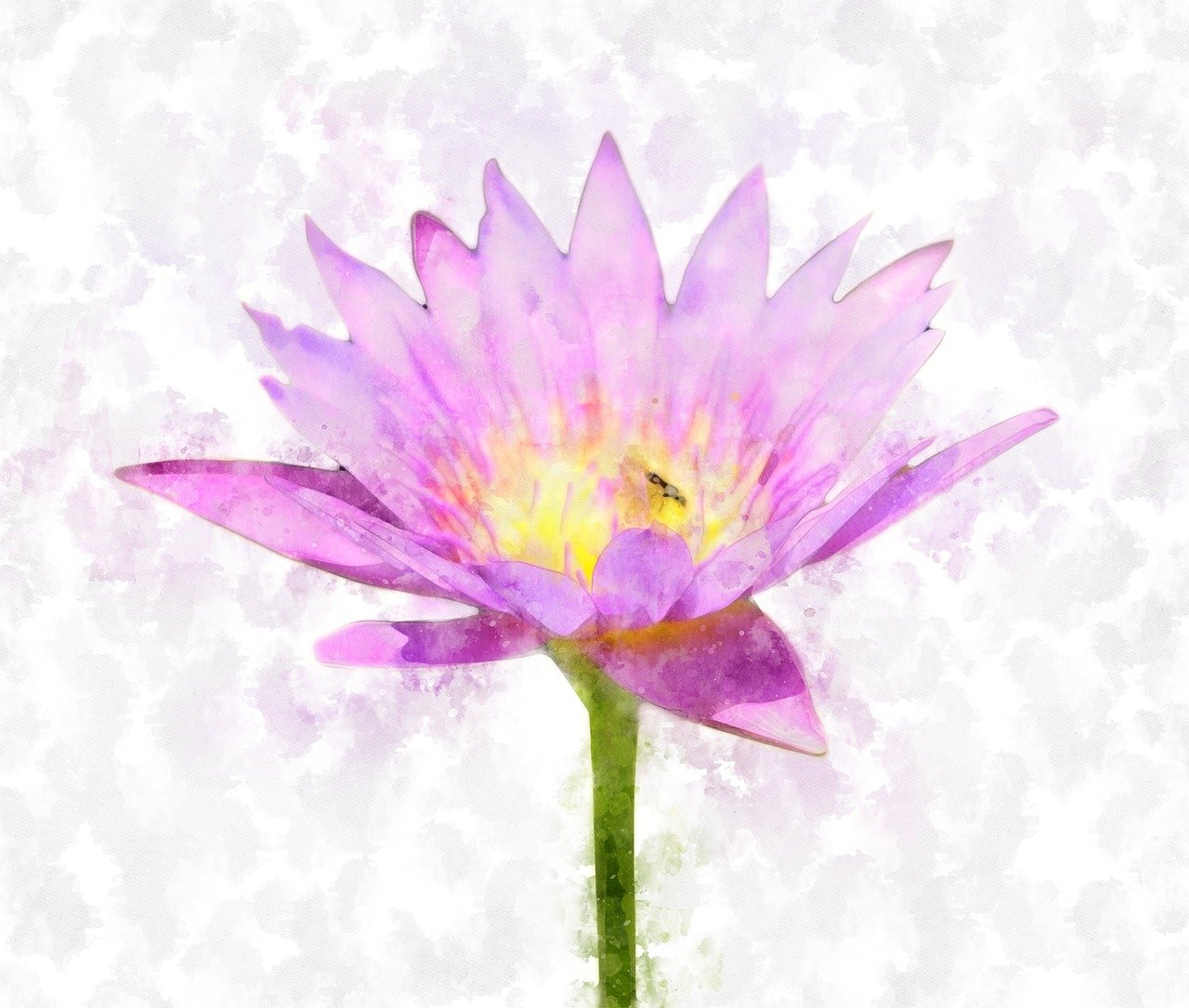 花与花之间的争吵，自然界中的和谐与冲突